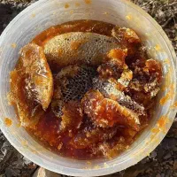 عسل طبیعی اصل اصل کمر موجوده