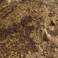 کودحیوانی|لوازم جانبی حیوانات|بردسکن, |دیوار