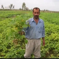 راهنمایی کنید کارشناس دادگستری و وکیل رشته کشاورزی|فعالیت داوطلبانه|شیراز, زند|دیوار