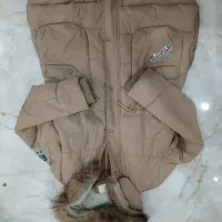 کاپشن دخترونه|لباس|رشت, حمیدیان|دیوار