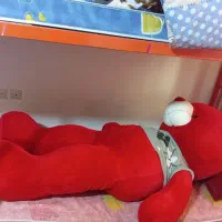 عروسک خرس شاسخین کادو