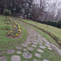 تشک خوشخواب دو نفره