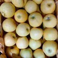 ۲.۵تن سیب زرد درجه یک