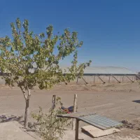 کارگر مرغداری گوشتی