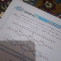 جزوه زیست شناسی رنگی|کتاب و مجله آموزشی|اردبیل, |دیوار
