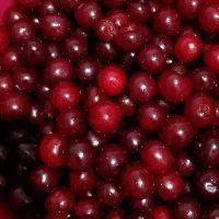 آلبالو خیلی رسیده خوشمزه