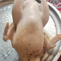 گوشت خروس محلی یا بومی|حیوانات مزرعه|اصفهان, دستگرده|دیوار