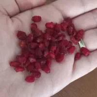 زرشک پفکی قائنات