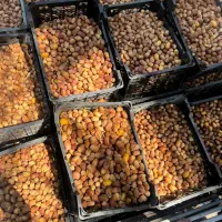قصب تازه|خوردنی و آشامیدنی|شیراز, لشکری‎|دیوار