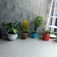 نیازمند نیروی کار برای چاپ و تکثیر و کافی نت