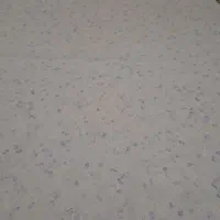 چادر نو|لباس|بجنورد, |دیوار