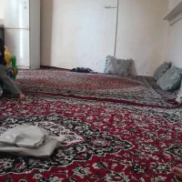 اجاره خانه ویلایی ۵۰ متری ۱ خوابه در نسیم‌شهر