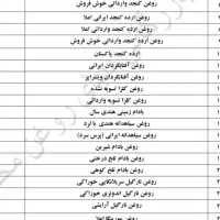 انواع روغنهای گیاهی|خوردنی و آشامیدنی|شیراز, شاهچراغ|دیوار