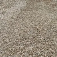 جو دیم|خدمات باغبانی و درختکاری|جیرنده, |دیوار