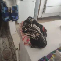 مانتو وشومیز و شال|لباس|کرج, حسین‌آباد|دیوار