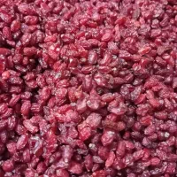 زرشک|خوردنی و آشامیدنی|قرچک, مهدیه|دیوار