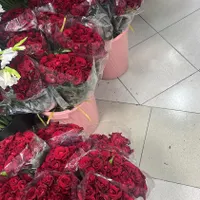 گل رز هلندی|گل و گیاه طبیعی|ماهدشت, |دیوار