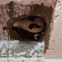 نم و رطوبت وکارهای لوله کشی  آب و فاضلاب استان کرج