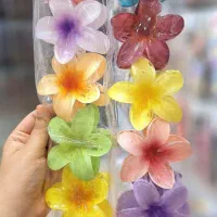 گیره به قیمت عمده