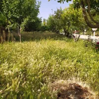 علف زنی|خدمات باغبانی و درختکاری|زنجان, |دیوار