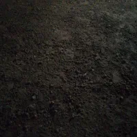 زمین کشاورزی