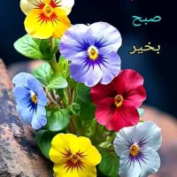 به یک خانم جهت منشی گری نیازمندیم