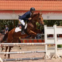 اسب پرشی یکسر خارجی