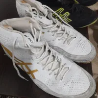 کتونی کشتی|کیف، کفش، کمربند|آستارا, |دیوار