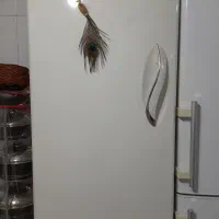 فیریزر|یخچال و فریزر|الیگودرز, |دیوار