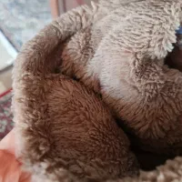 کاپشن کودک مناسب دو تا سه سال داخل خز