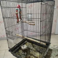 قفس عروس هلندی