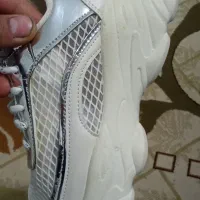 کفشنو|کیف، کفش، کمربند|مریوان, |دیوار