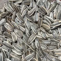 تخمه اس 400