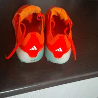 کتونی استوک چمن