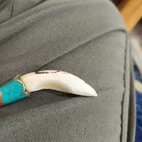 مهره ،دندان