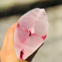 ماهی میگو ارسال از بندر هندیجان به کل کشور|حراج|مهاباد (اصفهان), |دیوار