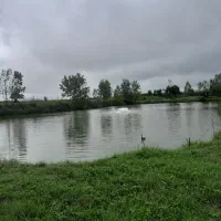 استخرماهی زیبا  در منطقه‌ای بکر