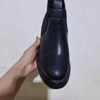 نیم بوت|کیف، کفش، کمربند|فسا, |دیوار