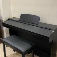 پیانو دیجیتال Roland Rp 501r|پیانو، کیبورد، آکاردئون|اراک, |دیوار