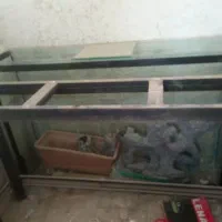 اکواریوم
