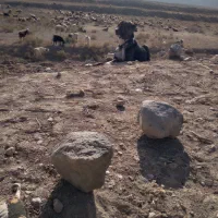 دل به شرط میدم گوسفندی|سگ|قوچان, |دیوار