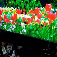 تلویزیون ال ای دی الجی ۵۵فرکی اسمارت تمام فول آک