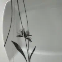 سرویس ۸۶ پارچه تقدیس چینی