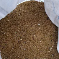 بذر|حراج|دیواندره, |دیوار