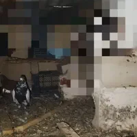 باخت دادم