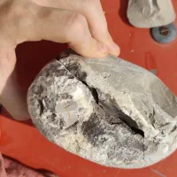 سنگ چخماق فسیلی  کلکسیون با قدمت بالا