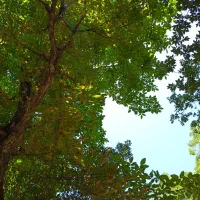 دنبال شغل میگردم خانم