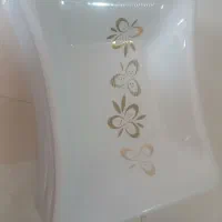 ظروف چینی
