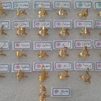 انگشتراسم فارسی زنانه استیل رنگ ثابت