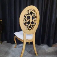 صندلی شایان باغی